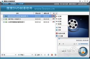 如何刻录在线视频