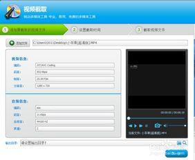 如何刻录在线视频