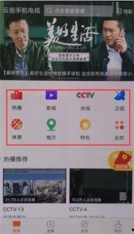 在线视频回放,深度解析在线内容精彩瞬间