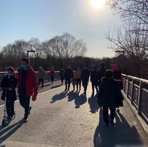 香山公园在线视频,在线视频带你领略秋色风光