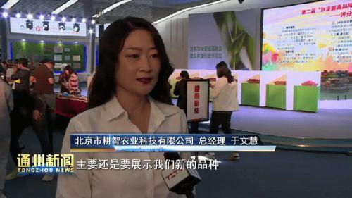 王家美食在线视频,探寻地道家常菜的魅力之旅