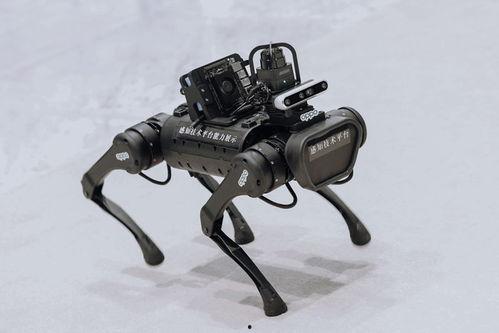 机械犬在线视频,未来战士的忠诚伙伴