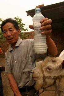 受产乳在线视频,乳业新趋势下的直播带货奥秘