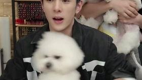 受产乳在线视频,乳业新趋势下的直播带货奥秘