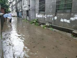 水桥门在线视频,揭秘神秘在线视频背后的历史与魅力