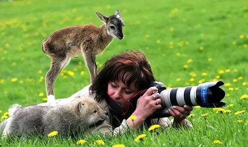 动物人类在线视频,在线视频中的温馨瞬间