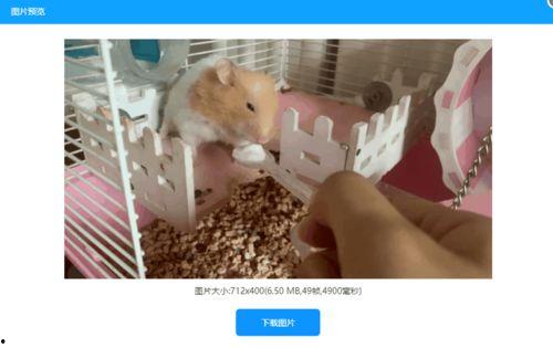 在线视频转gif,轻松保存精彩瞬间